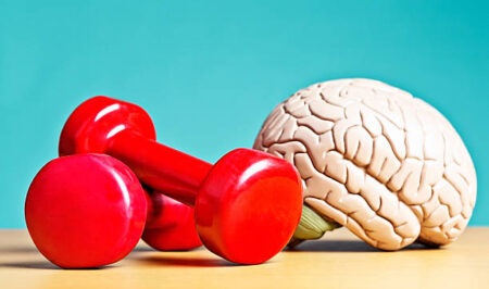 Brain Exercises
